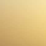 トイレの便器をｳｫｼｭﾚｯﾄにする