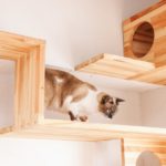 奈良市で猫ドアへのリフォームを行いました。